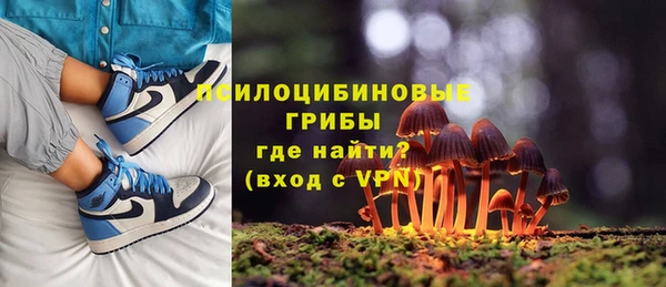 каннабис Белокуриха