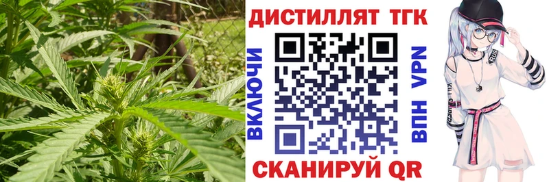 ТГК концентрат  Жирновск 
