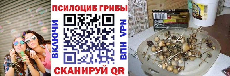Галлюциногенные грибы Magic Shrooms  где найти   Жирновск 